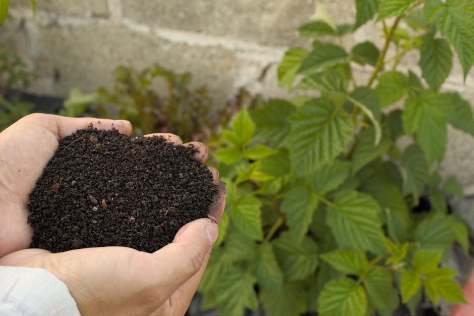 Composting at Home: Turning Waste into Garden Gold