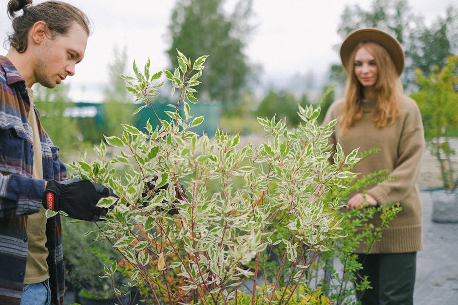 Seasonal Garden Tasks: Your Month-by-Month Growing Calendar